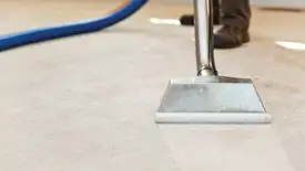 Carpet cleaning wand head gliding over a light carpet during hot-water extraction, Chicago, IL.