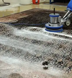 Professional rug cleaning with a rotary floor machine and shampoo foam, deep-cleaning an area rug Chicago, IL.